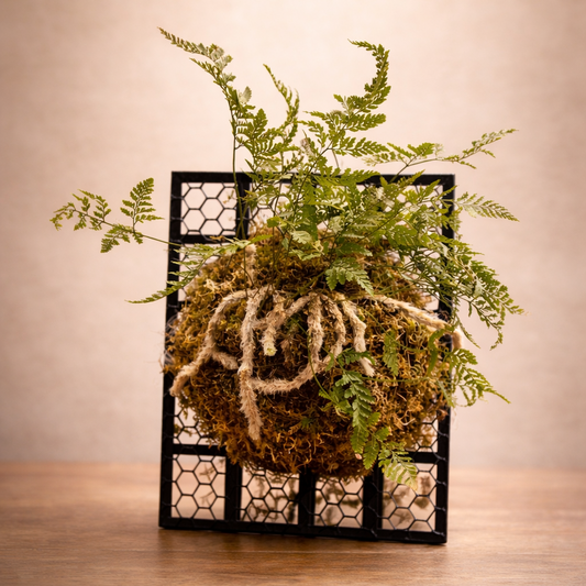 Mounted Botanical Art Workshop