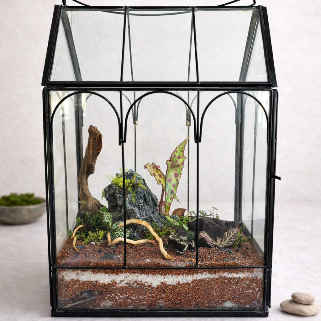Premium Terrarium Workshop | March 18 | Texture Home