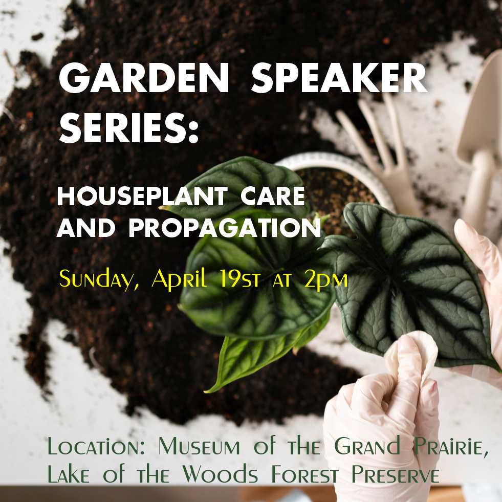 HOUSEPLANT CARE AND PROPAGATION at The Museum of Grand Prairie 04/19/2025 FREE Event
