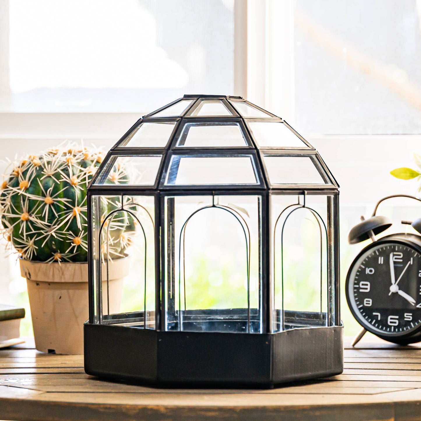 Black Large Metal Birdcage Terrarium