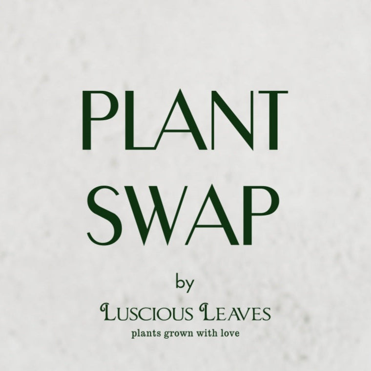 Earth Day Plant Swap hosted by Harvest Market 4/18/2025 FREE Event