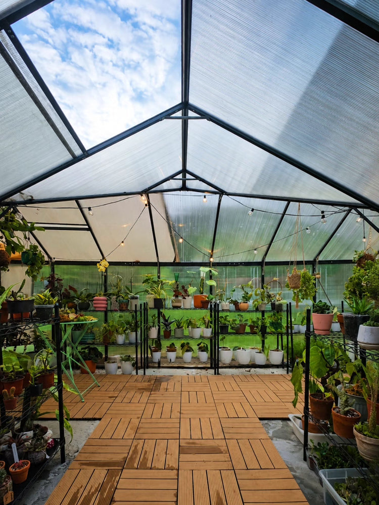 Market plants