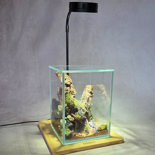 Full Spectrum LED Light, fits Aquarium Nano Tank, Wabi Kusa