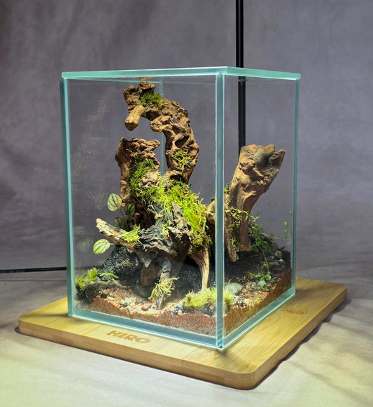 Date Night Terrarium Workshop | Apr 18 | Prairie Fruits Farm