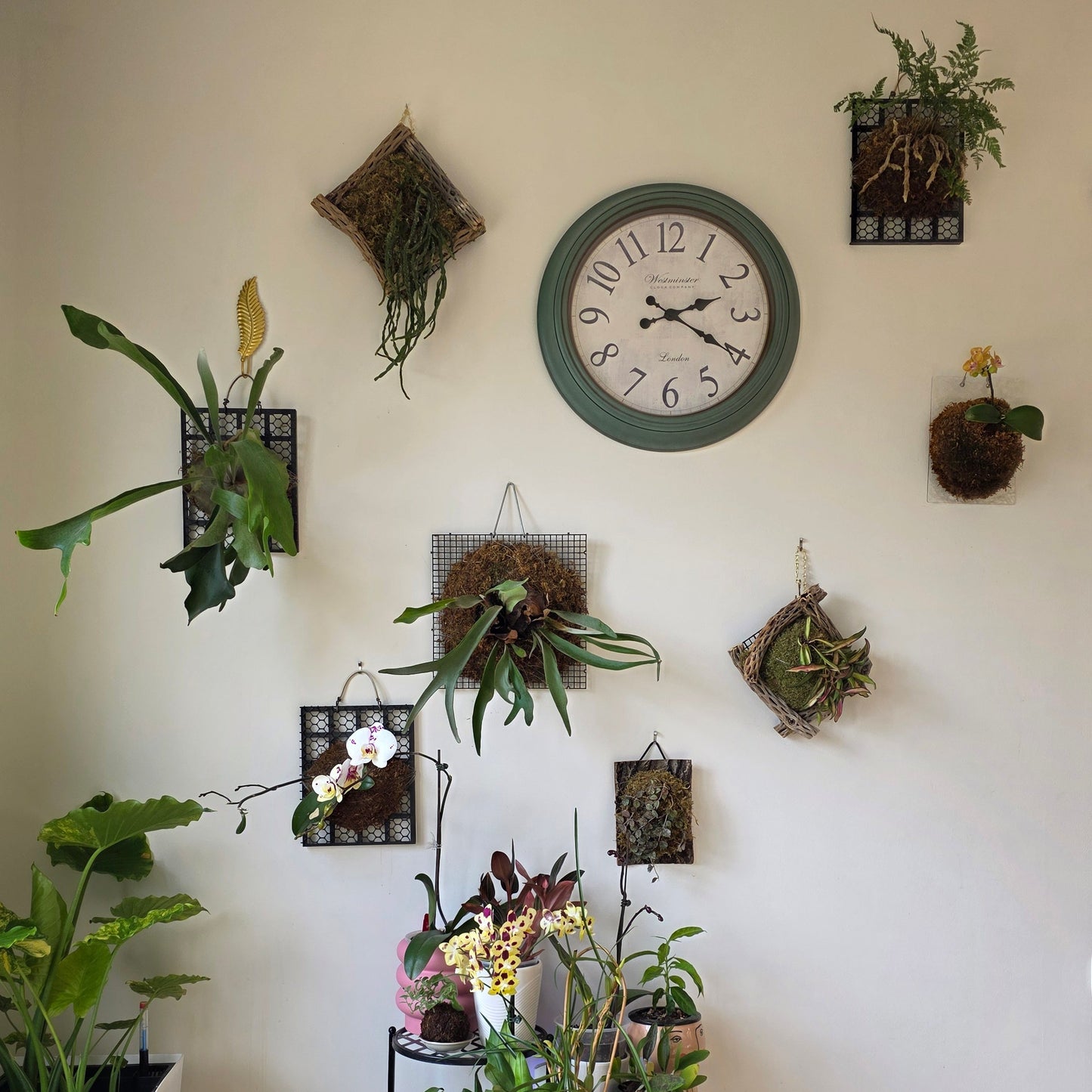 Spring Into Mahomet – An Interactive Community Showcase | March 28