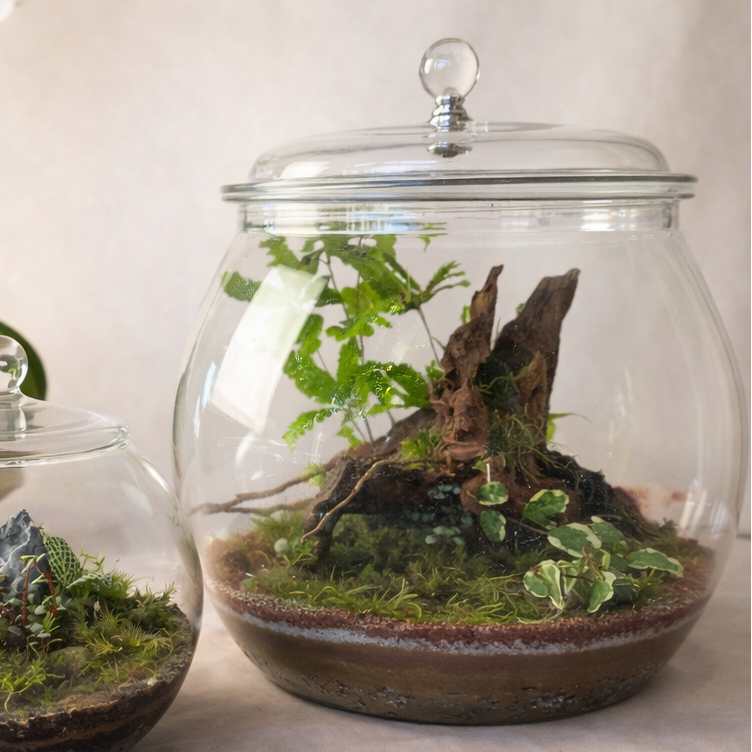 Extra Large Acrylic Jar