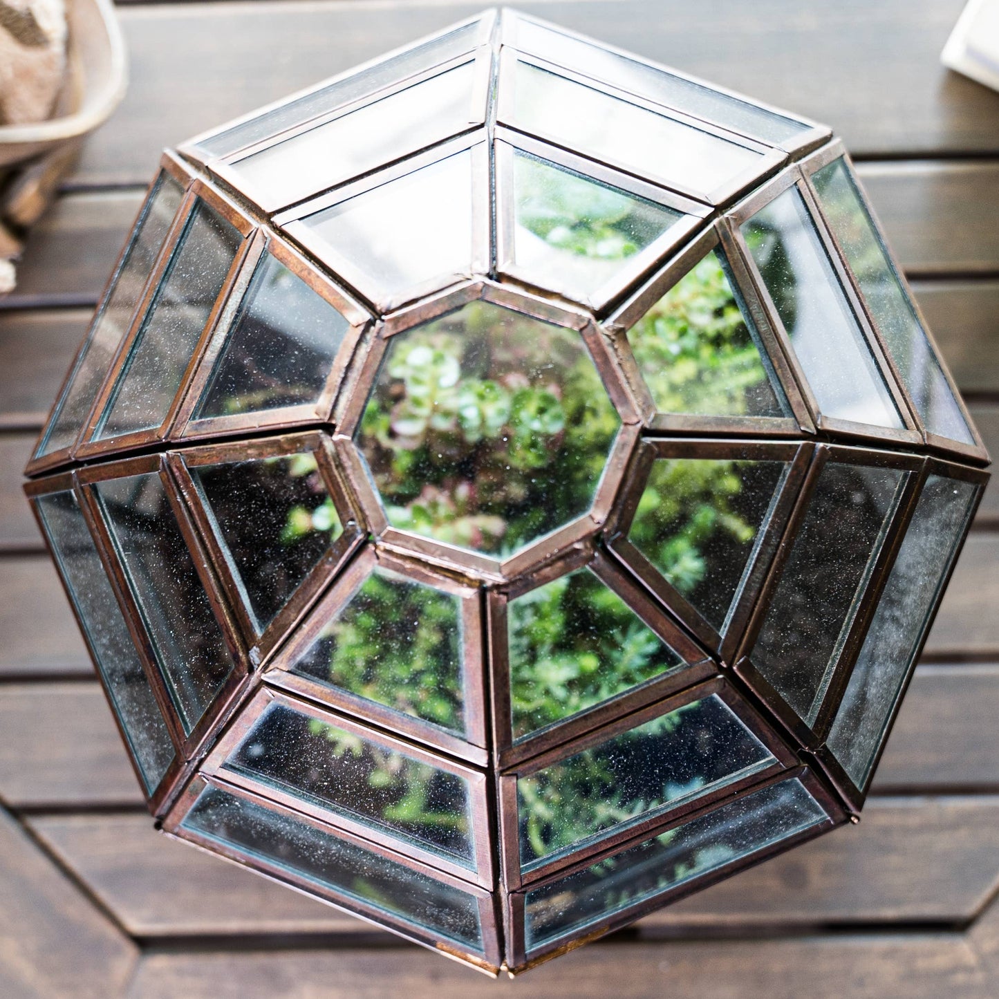 Bronze Birdcage Terrarium