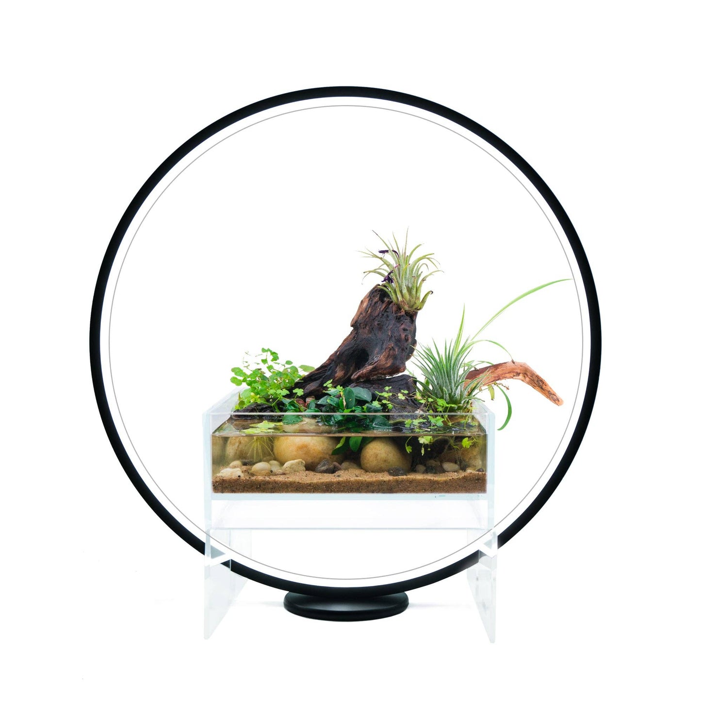 Modern Circle LED Grow Light
