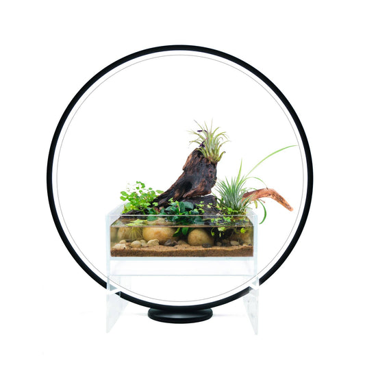 Modern Circle LED Grow Light