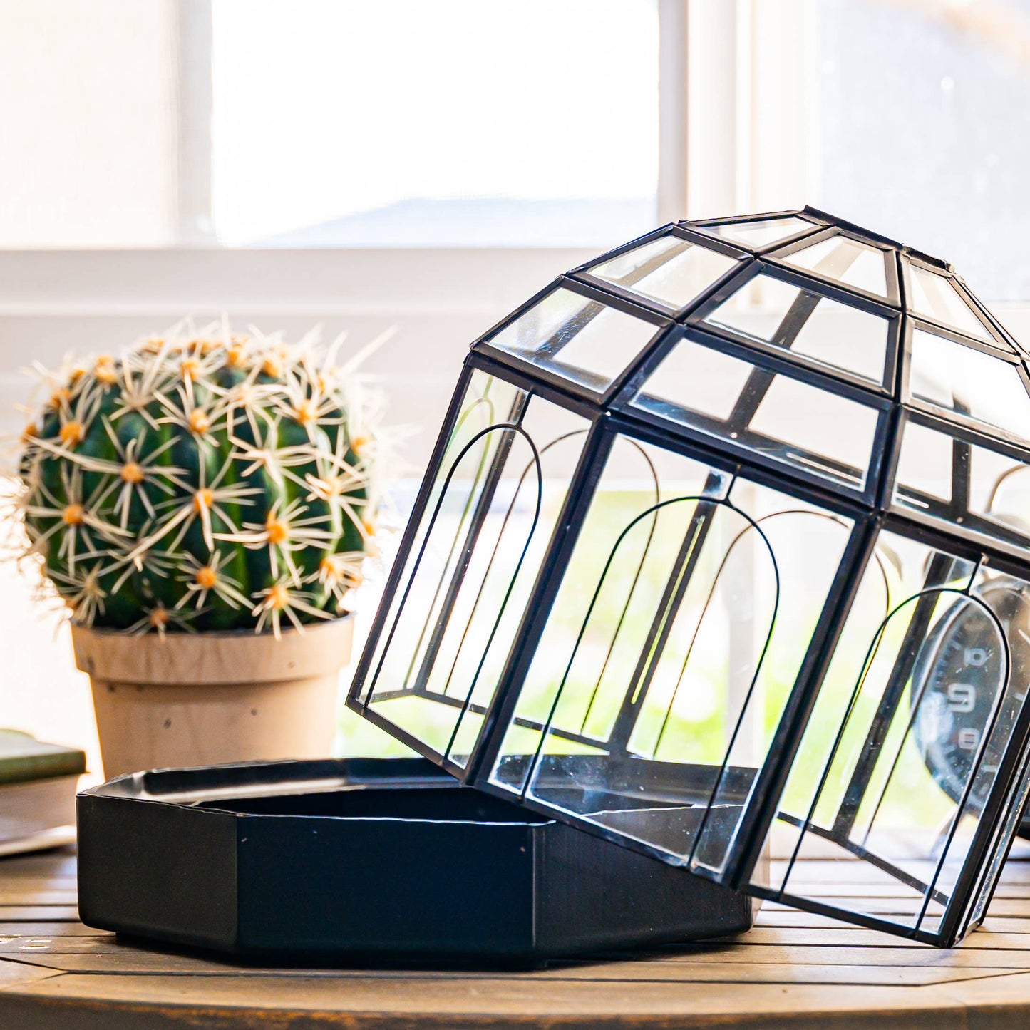 Black Large Metal Birdcage Terrarium