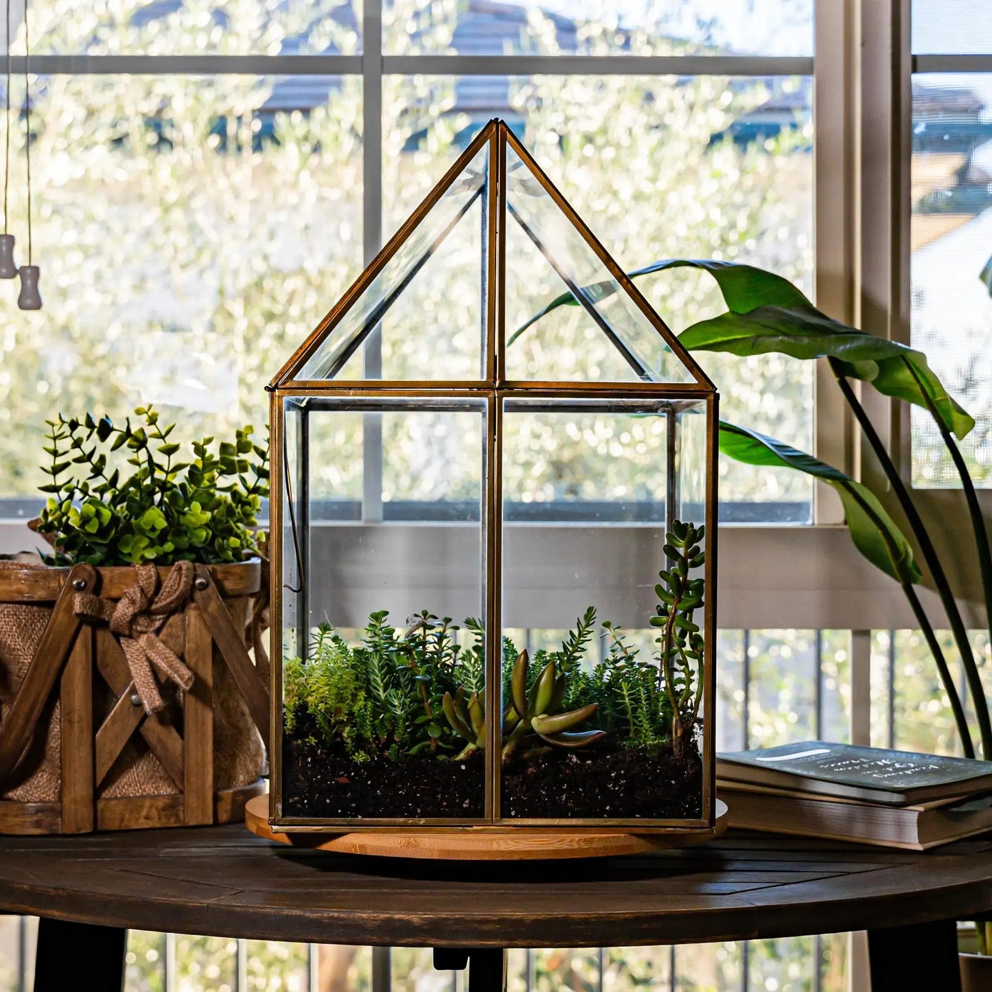 Bronze Oversized Greenhouse Terrarium with stand