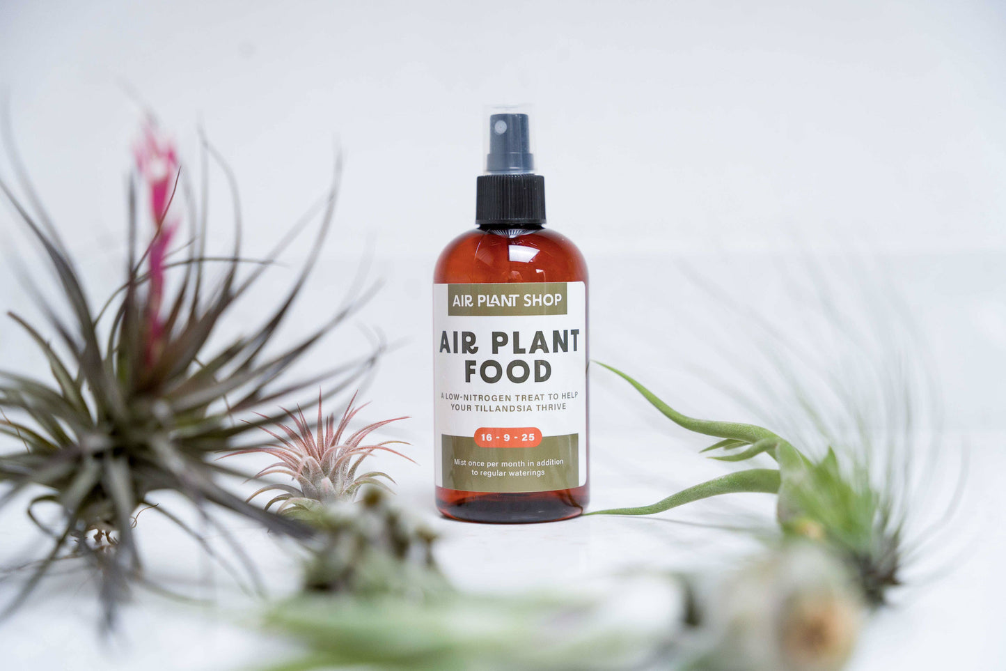 Bundle Air Plant Fertilizer