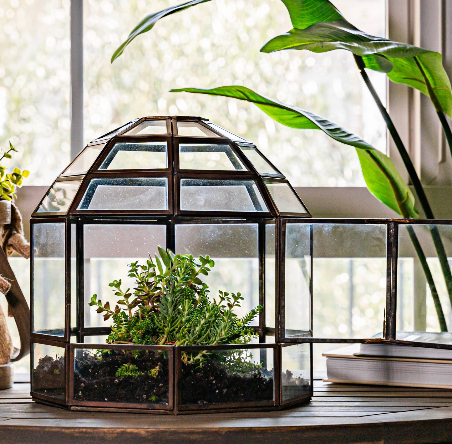 Bronze Birdcage Terrarium