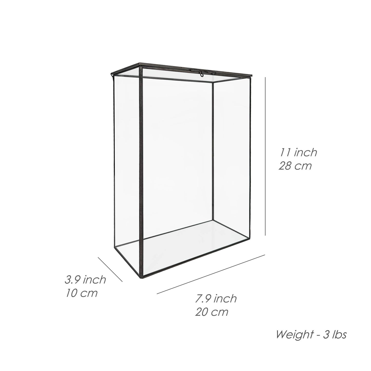 Bookshelf Plant Geometric Glass Vessel Container for Plants