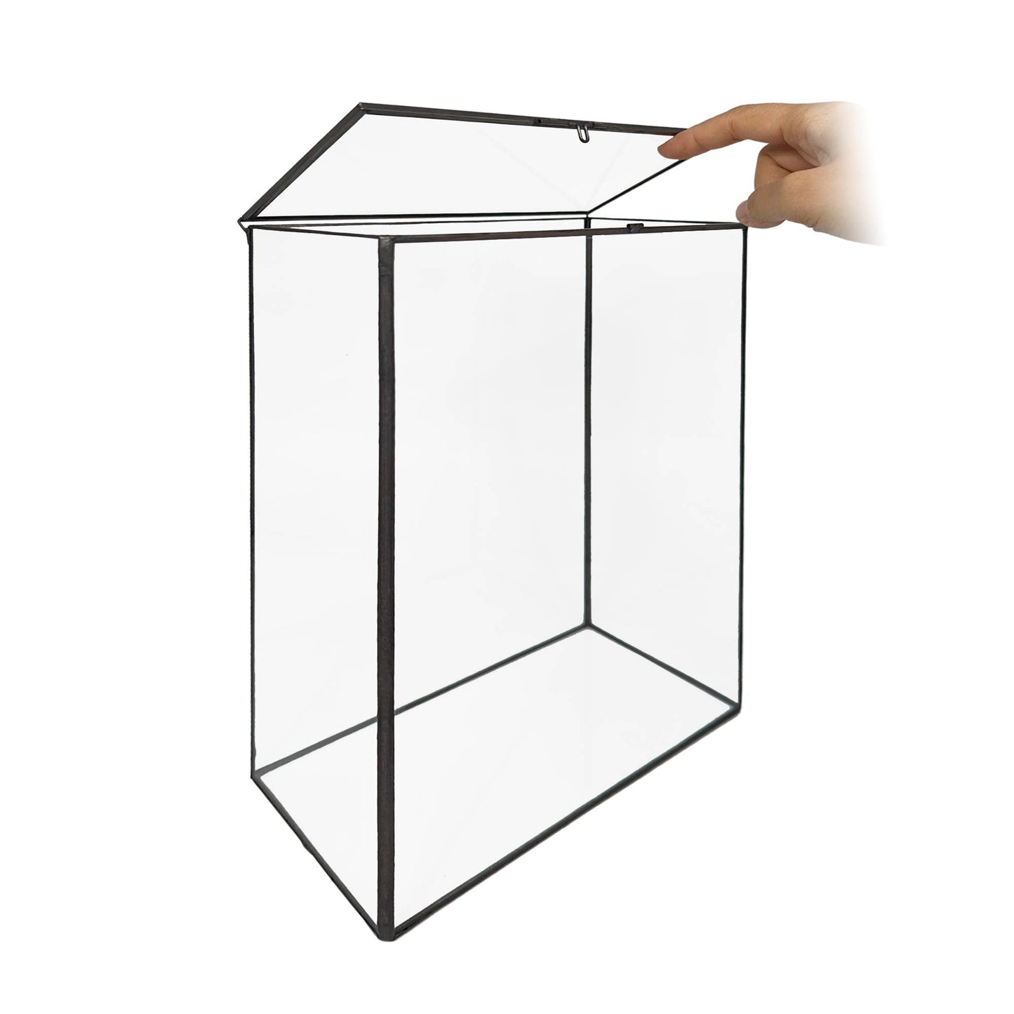 Bookshelf Plant Geometric Glass Vessel Container for Plants