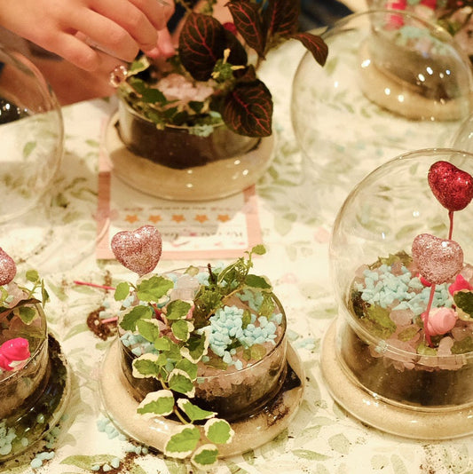 Terrarium workshop at The Literary 9/19/25