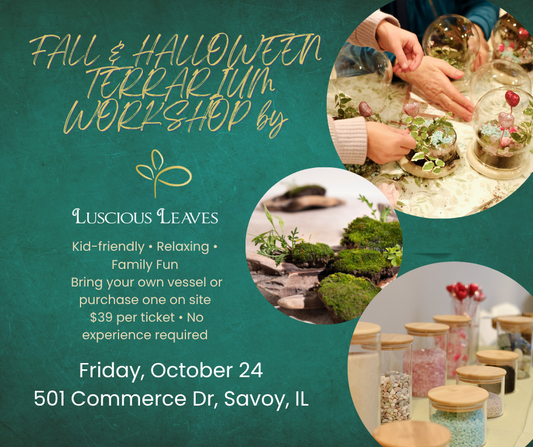 Fall & Halloween Terrarium Building Workshop at 501 Commerce 10/24/2025