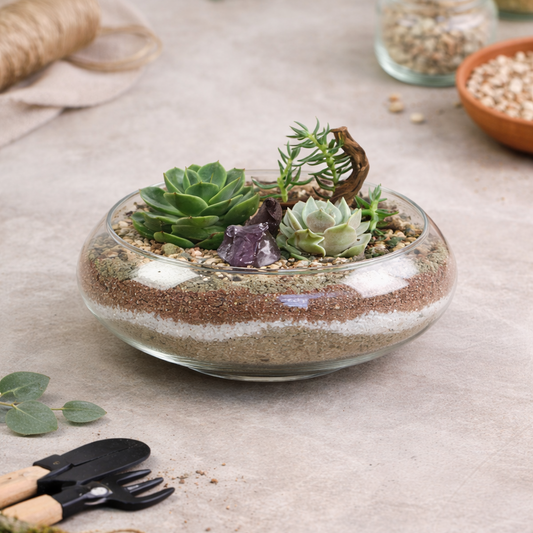 Succulent Arrangement Workshop