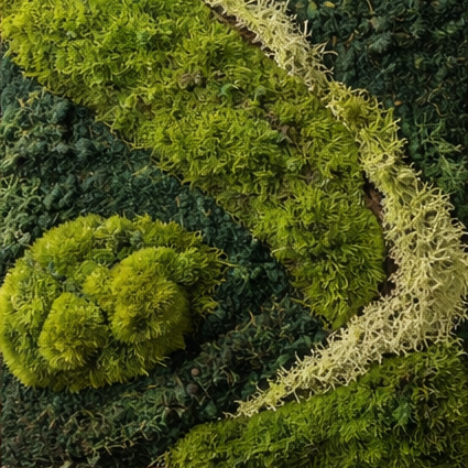 Preserved Moss Art