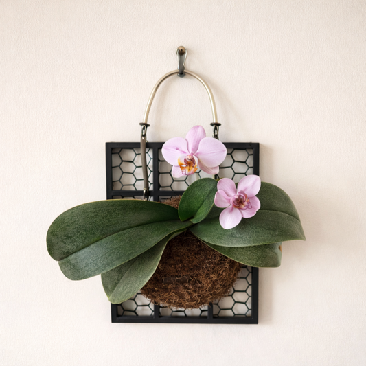 Mounted Botanical Art Workshop