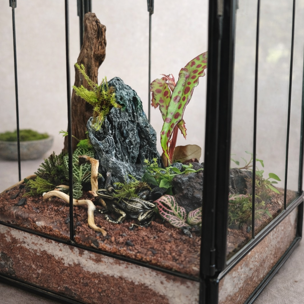 Premium Terrarium Workshop | March 18 | Texture Home