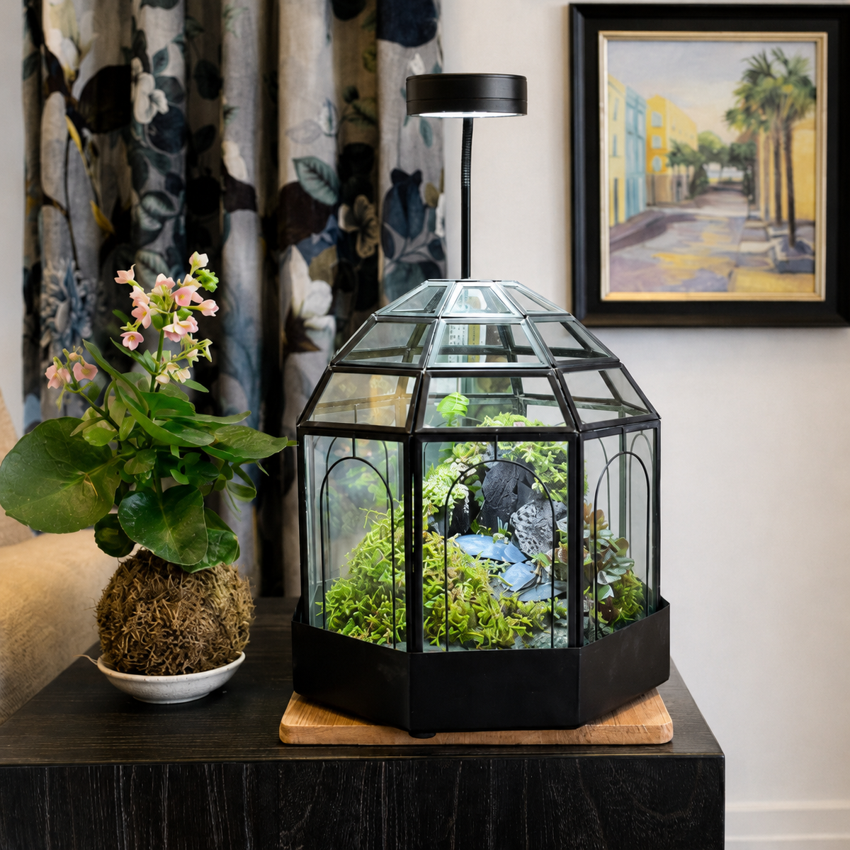 Plant-centered home display