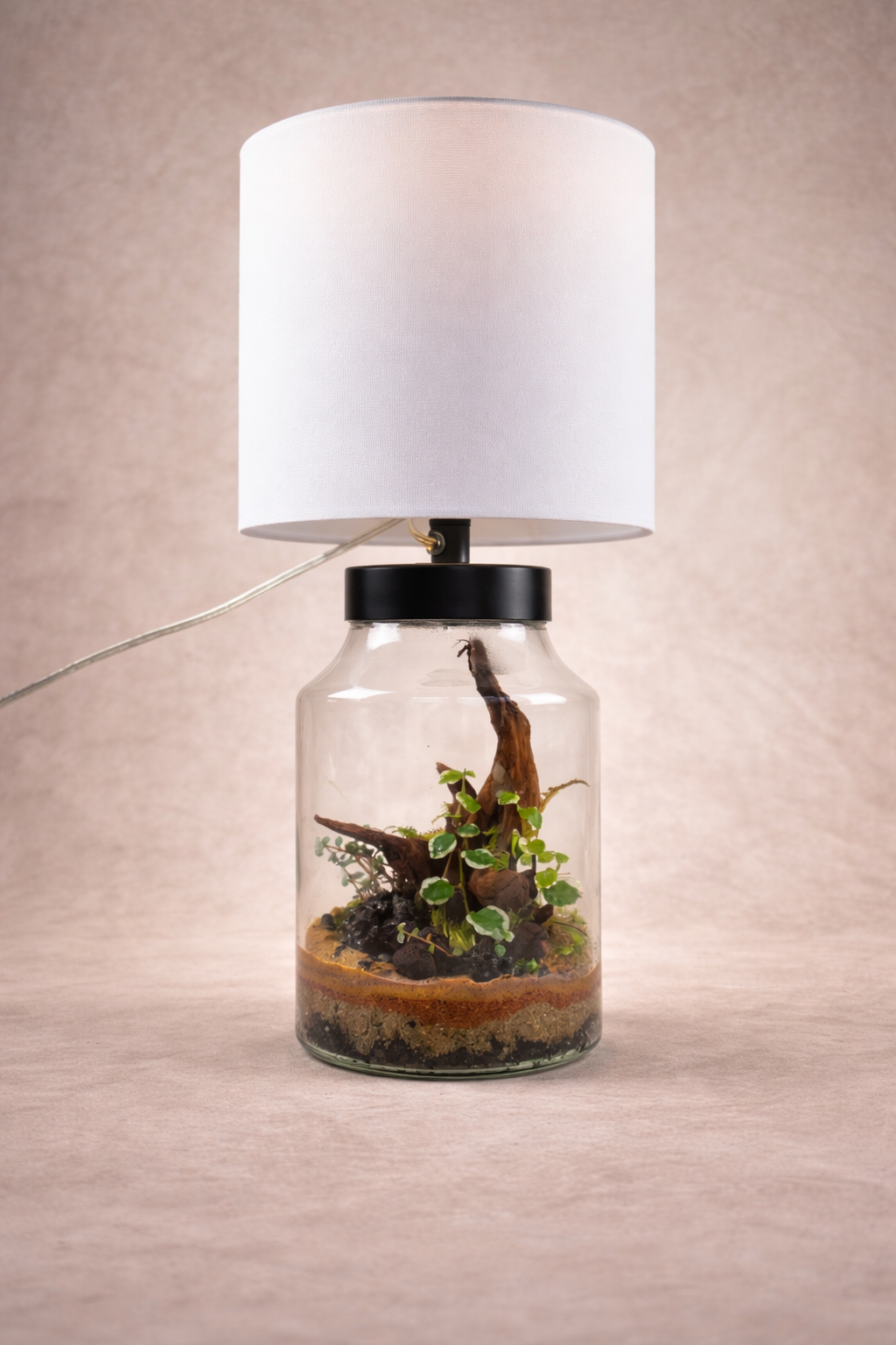 Illuminated terrarium piece