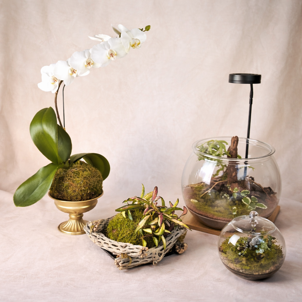 Custom living botanical work