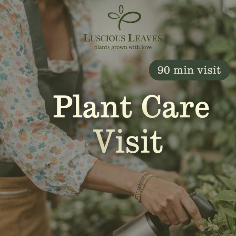 Plant Care Visit (90 Minutes)