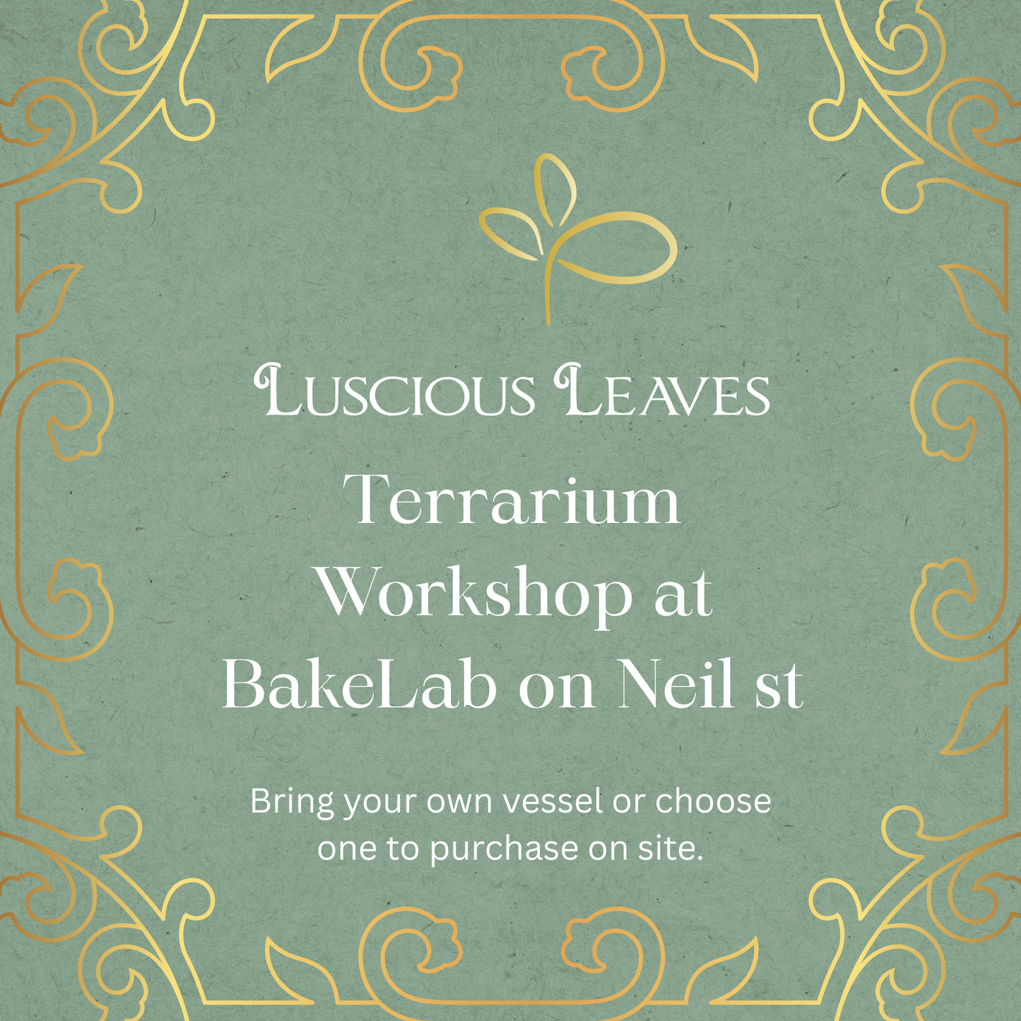 🌿 Closed Vessel Terrarium Workshop at BakeLab 🌿 January 28, 2026
