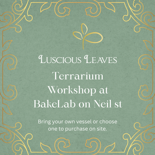 🌿 Closed Vessel Terrarium Workshop at BakeLab 🌿 January 28, 2026
