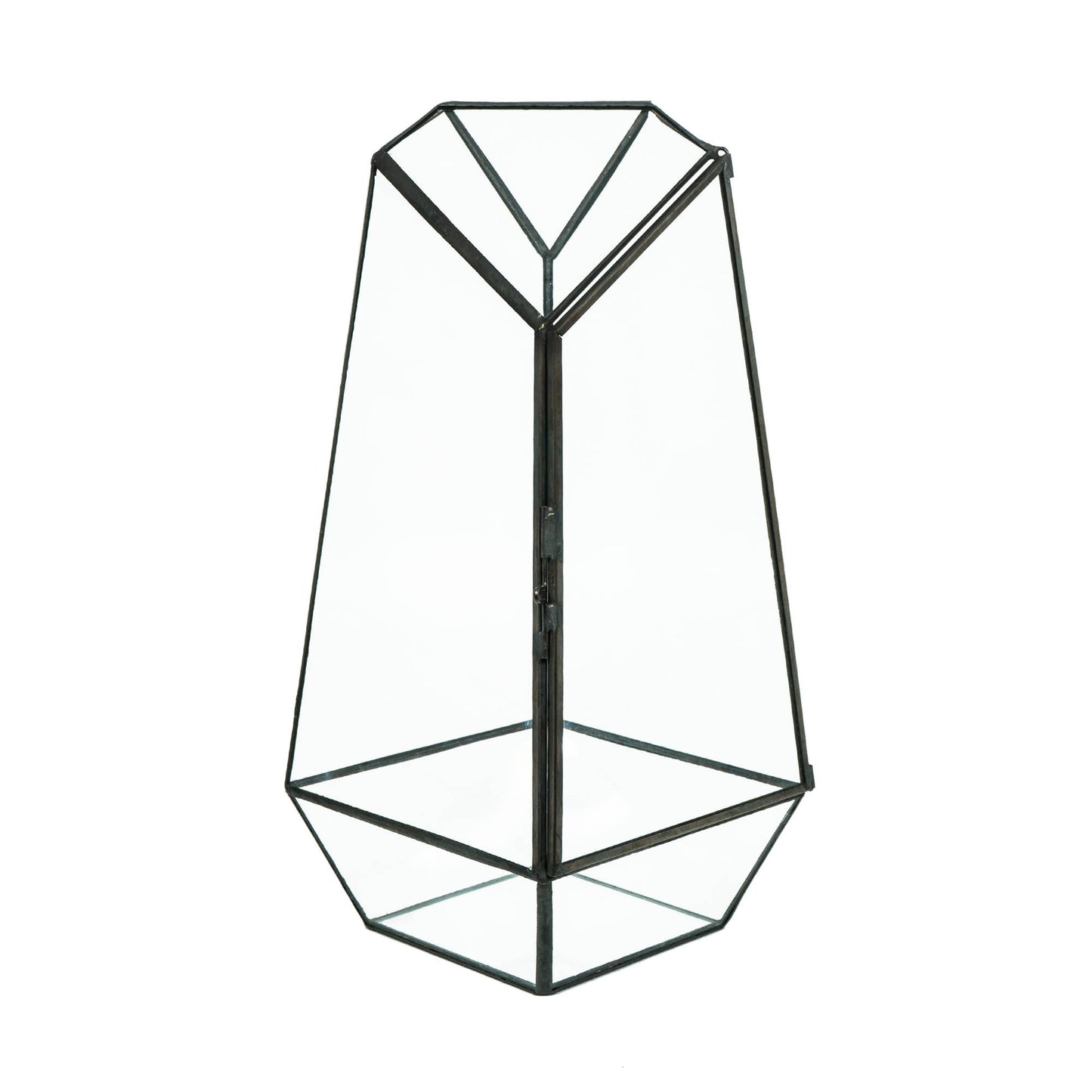 Glass Display Terrarium