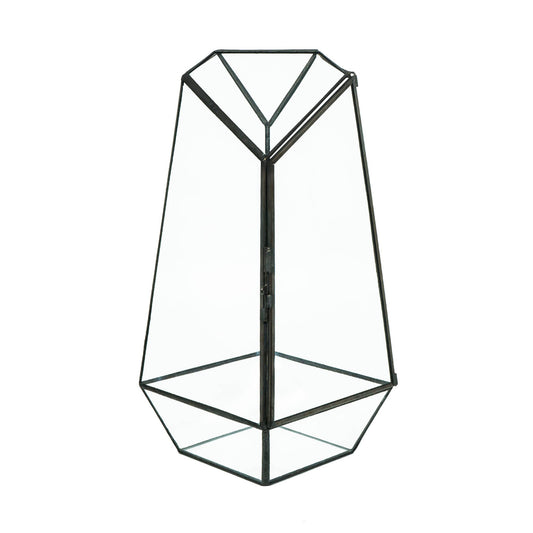 Glass Display Terrarium