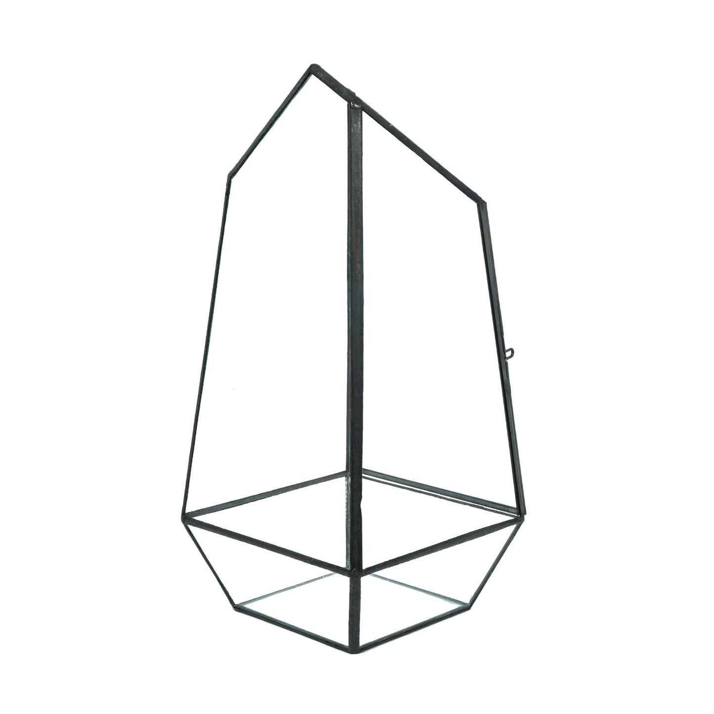 Glass Display Terrarium