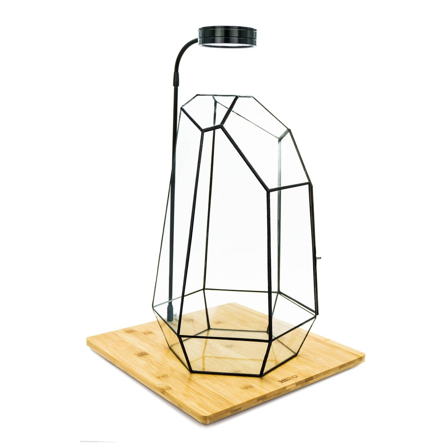 Large Indoor Plant Geometric Glass Vessel Container