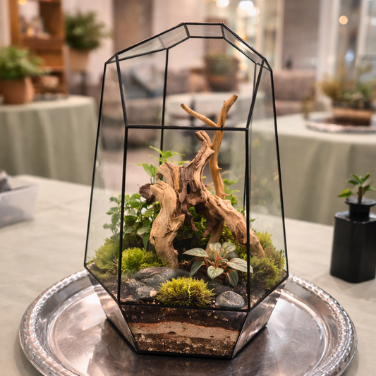 Terrarium Workshop