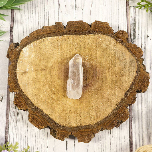 Mini Lemurian Quartz Points