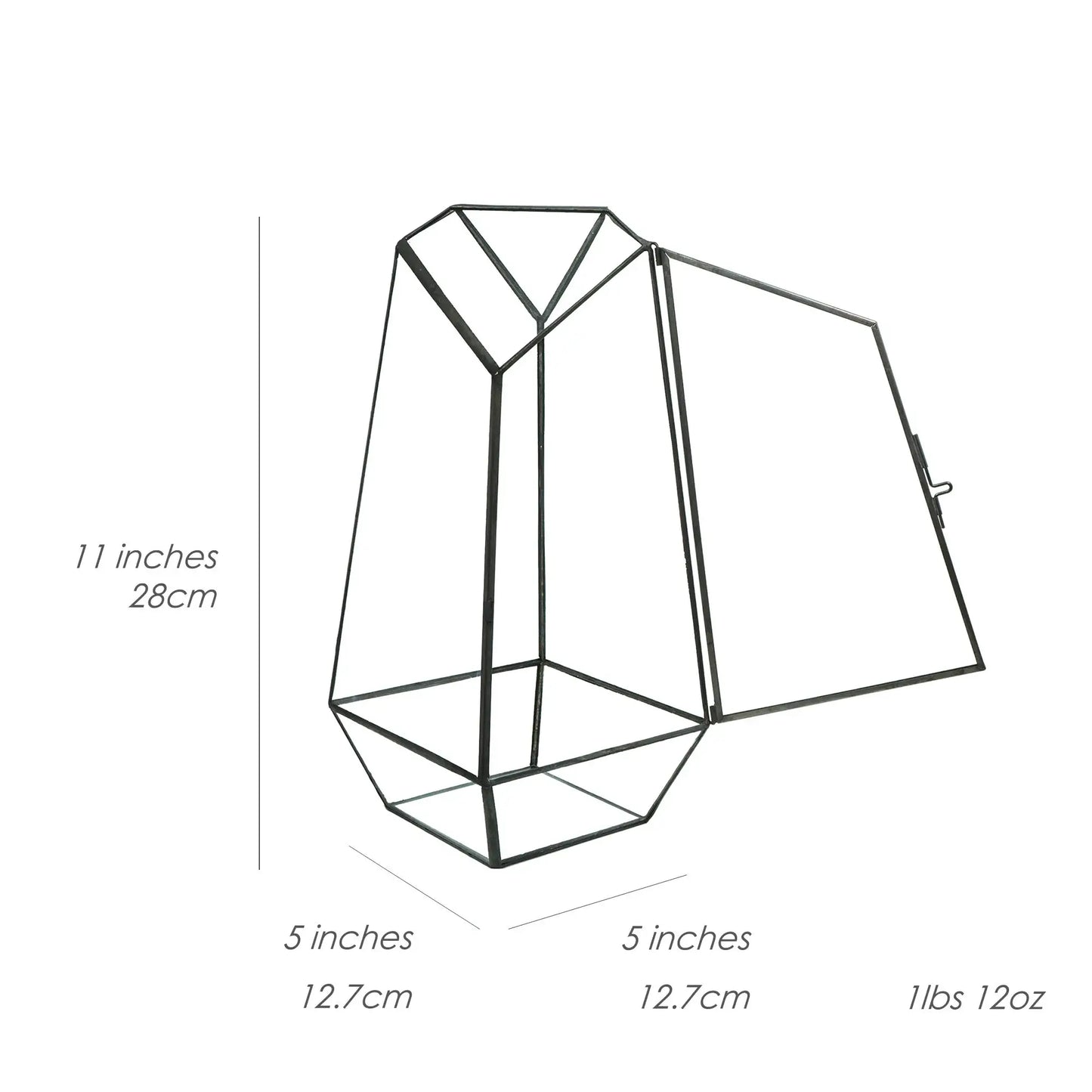 Glass Display Terrarium