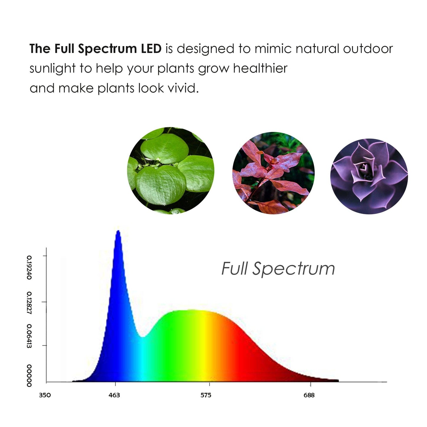 Full Spectrum LED Light, fits Aquarium Nano Tank, Wabi Kusa