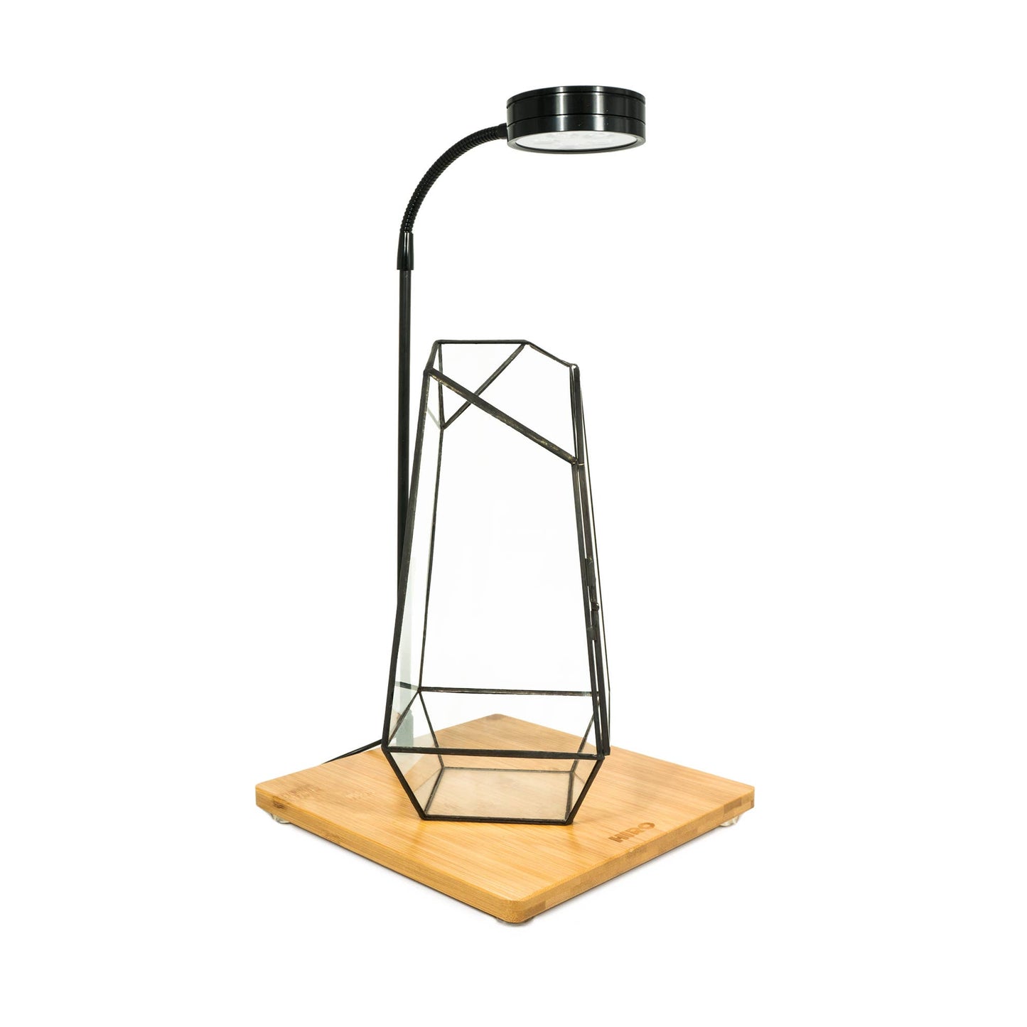 Glass Display Terrarium
