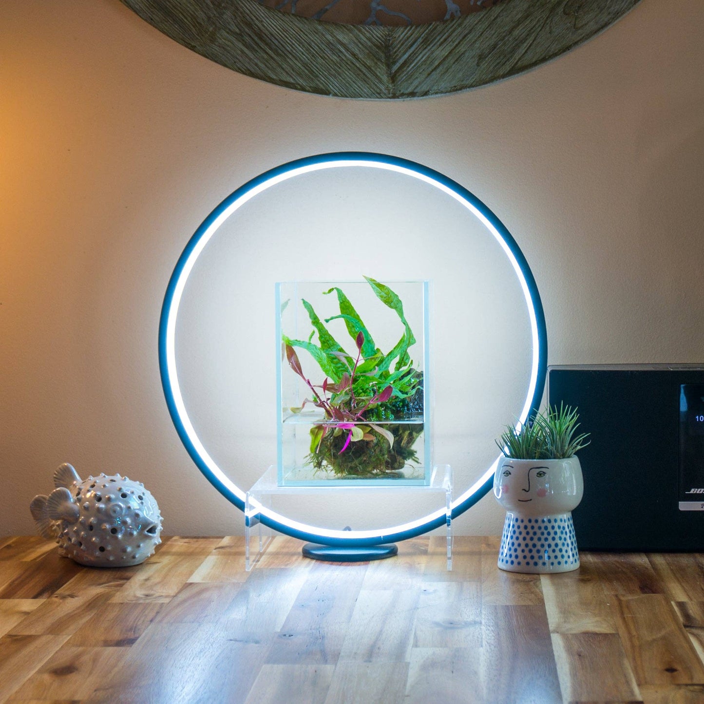 Modern Circle LED Grow Light