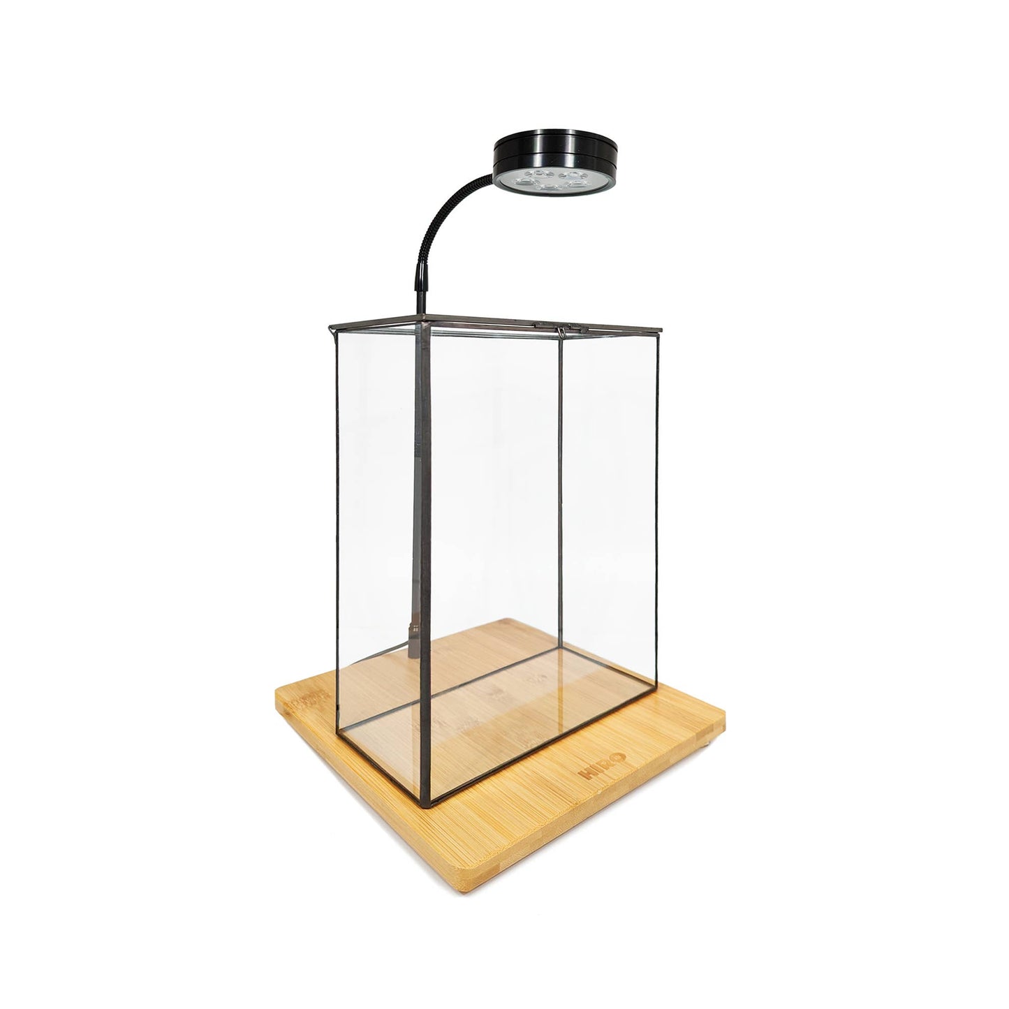 Bookshelf Plant Geometric Glass Vessel Container for Plants