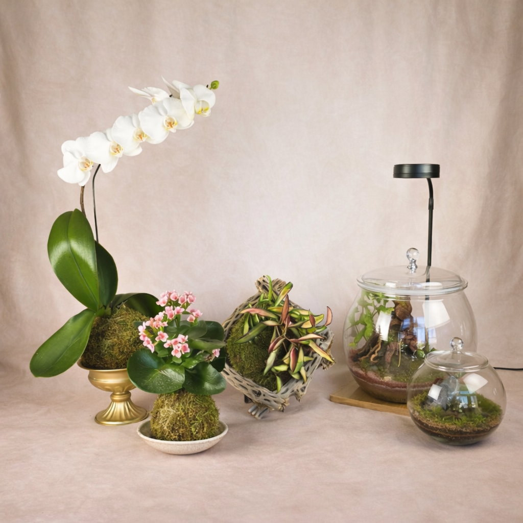 Spring Into Mahomet – An Interactive Community Showcase | March 28