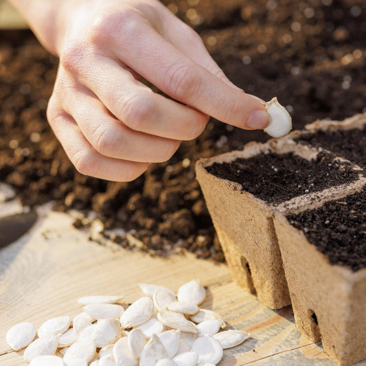 Seed Starting Workshop | March 5 | The Literary Book Bar
