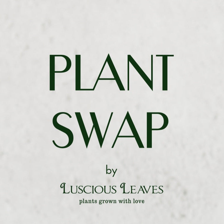 🌱 Savoy Plant Swap + Mini Workshop!