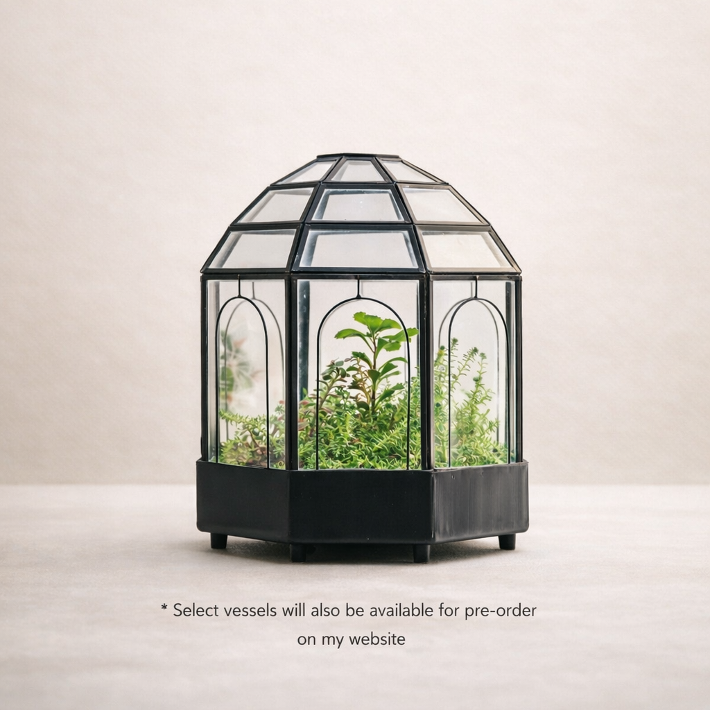 Black Large Metal Birdcage Terrarium