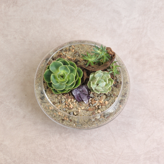 Succulent Arrangement | Apr 29 | The Literary Book Bar