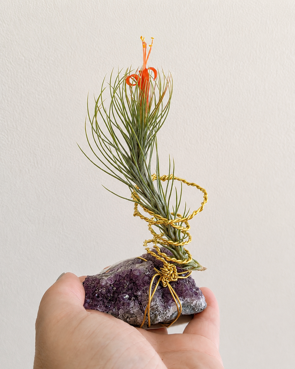 Medium airplant display add-on