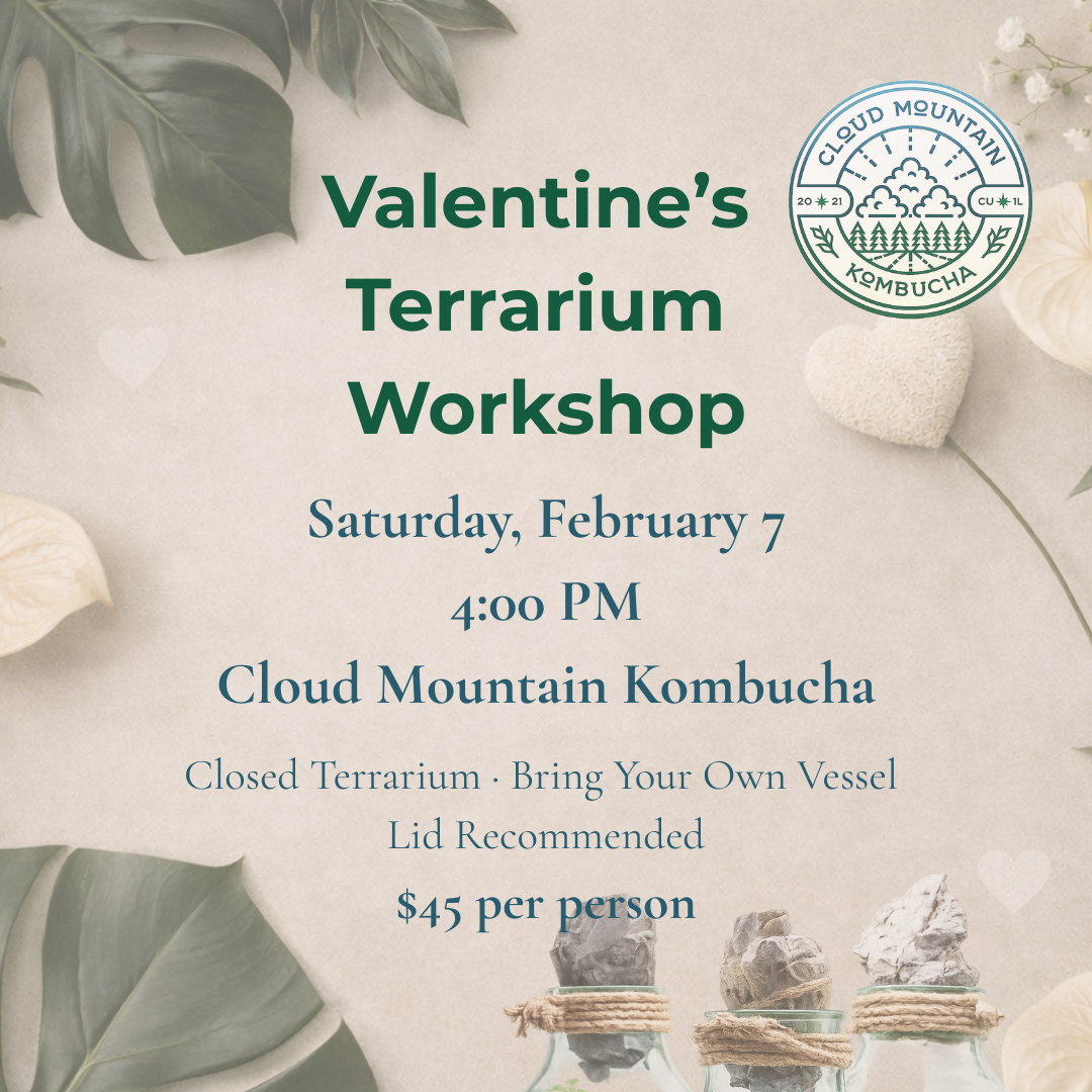 Valentine’s Closed Terrarium Workshop